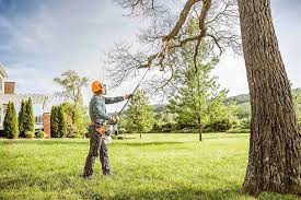 How Our Tree Care Process Works  in  Pelican Bay, TX