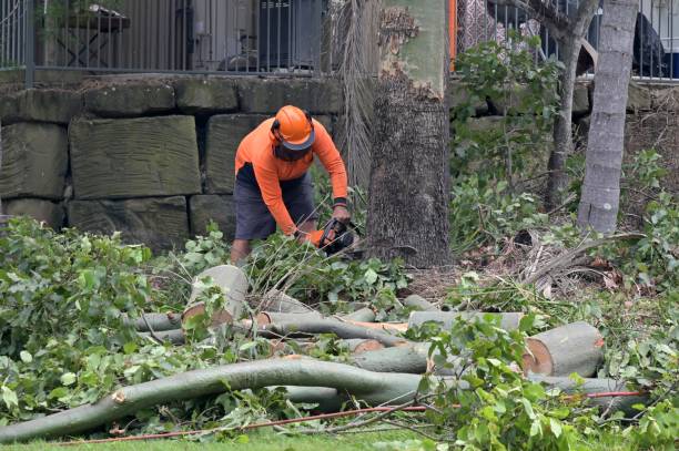 Best Utility Line Clearance  in Pelican Bay, TX